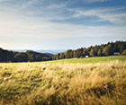 Fara Šumava