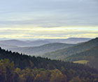 Fara Šumava